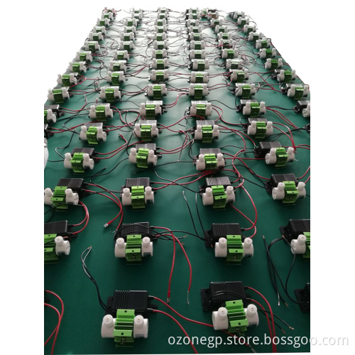 500mg 1000mg quartz ozone generator kits mini ozon generator for food